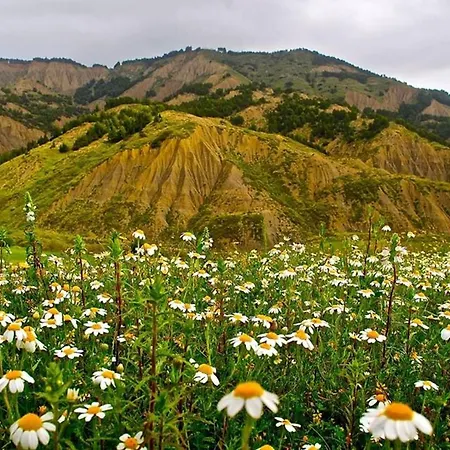 Bianca Pisticci-matera Casa de Férias Pisticci