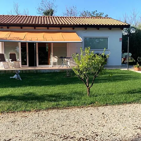 Bianca Pisticci-matera *