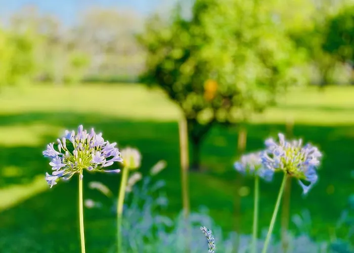 Bianca Pisticci-matera Pisticci