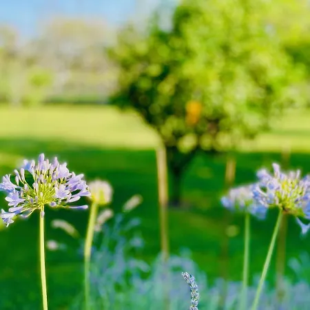 Bianca Pisticci-matera Pisticci