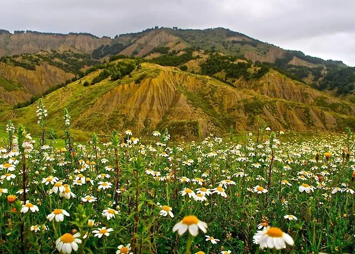 Bianca Pisticci-matera Σπίτι διακοπών Pisticci