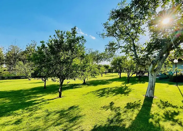 Bianca Pisticci-matera Pisticci